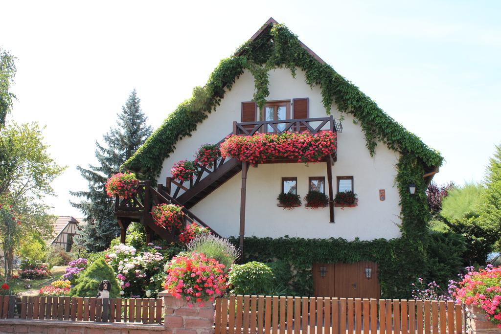 Apartment Route Du Vin Centre Alsace Оршвиллер Номер фото